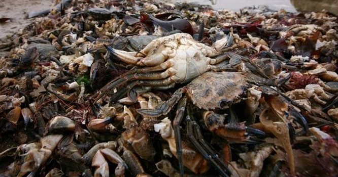 45a6f242-a2d9-4800-8a7c-6b0fcf336013