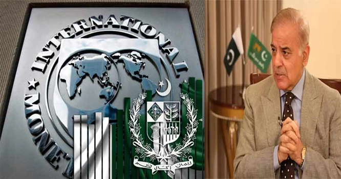 IMF