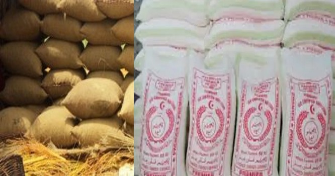 WhatsApp Image 2023-01-10 at 12.39.52 PM WhatsApp Image 2023-01-10 at 12.39.52 PM