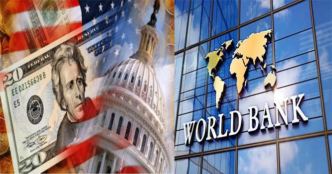 WhatsApp Image 2023-01-12 at 11.23.42 AM