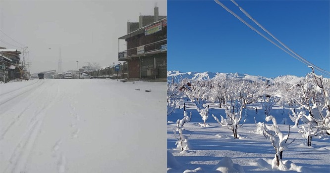 WhatsApp Image 2023-01-12 at 9.39.01 AM