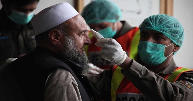 WhatsApp Image 2023-01-13 at 1.46.01 PM