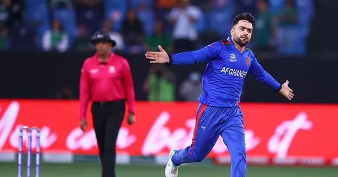 WhatsApp Image 2023-01-13 at 12.54.25 PM