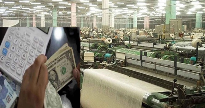 WhatsApp Image 2023-01-24 at 10.08.00 AM