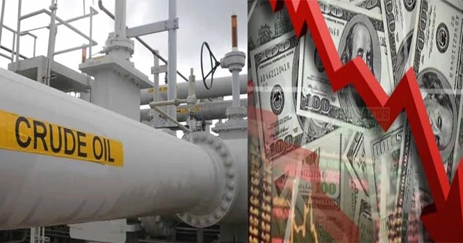 WhatsApp Image 2023-01-24 at 10.46.50 AM