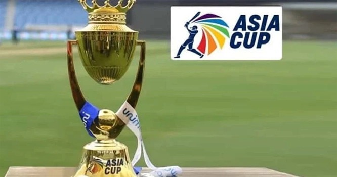 WhatsApp Image 2023-01-25 at 10.11.51 AM