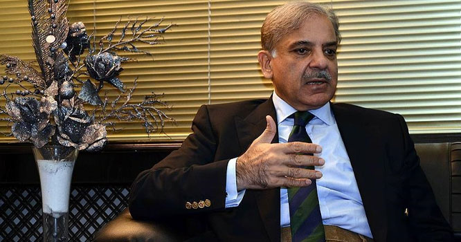 shabaz-6