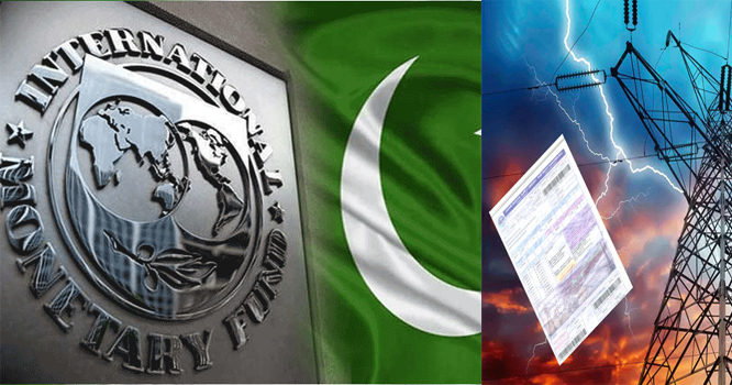 IMF