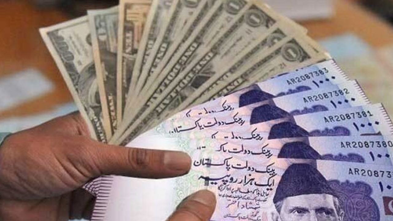 WhatsApp Image 2023-02-02 at 12.01.10 PM