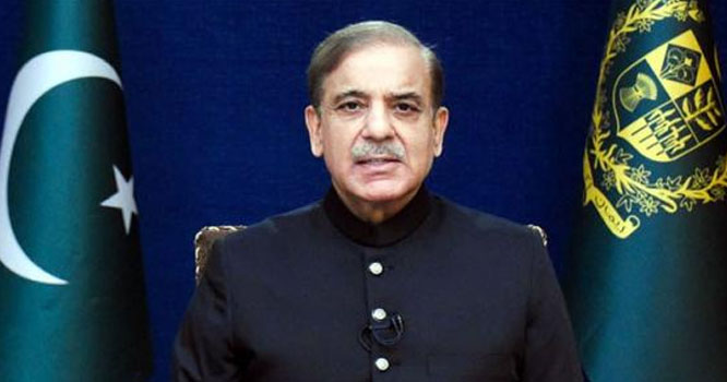shabaz 7