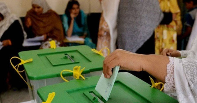 election