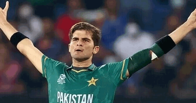 shaehhn-afridi
