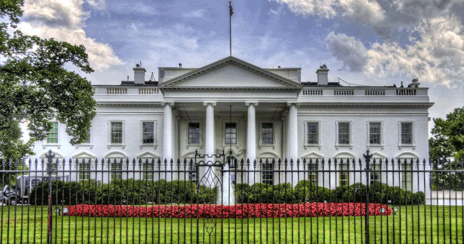 white-house