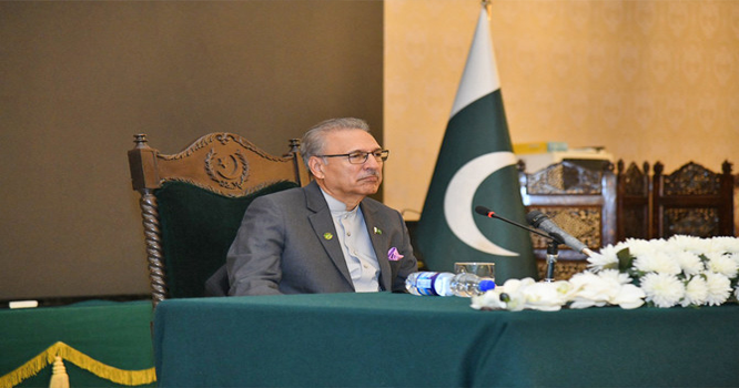 alvi alvi