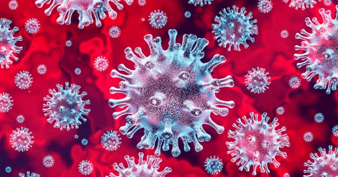 corona-virus