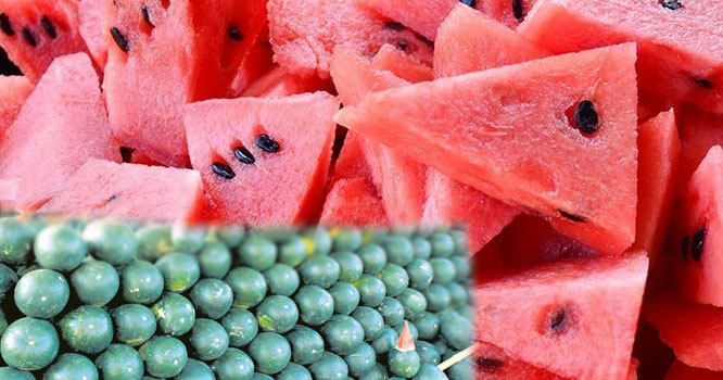 water-mellon