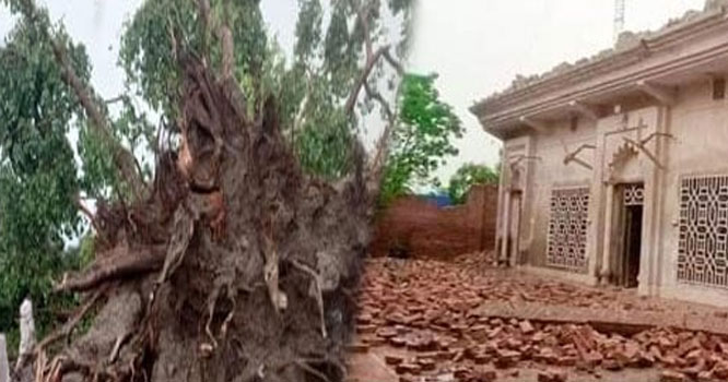 پنجاب اور خیبر پختونخوا میں بارشوں نے تباہی مچا دی