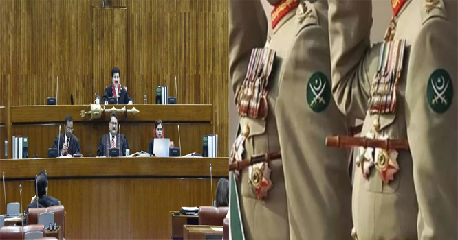 Senat
