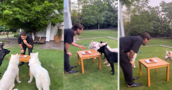 mehander-singh-dhuni mehander-singh-dhuni