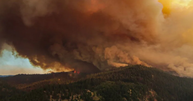 fire-in-canada-forest