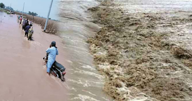 flood-in-satluj