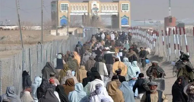 afghan