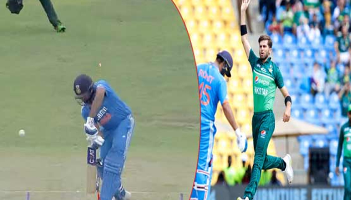 cricket-1
