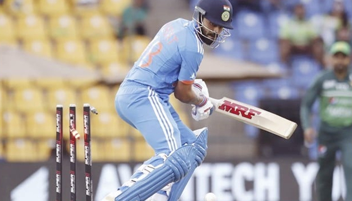 cricket-2