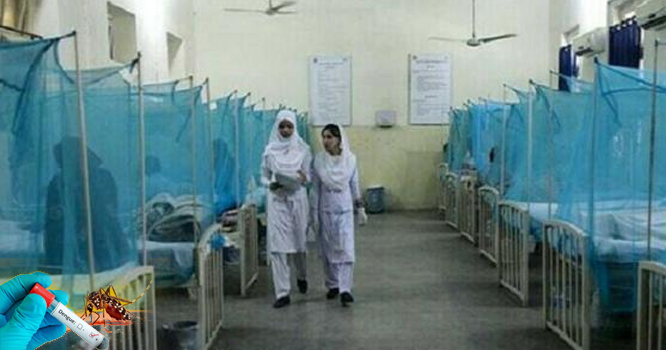 punjab-main-dengue