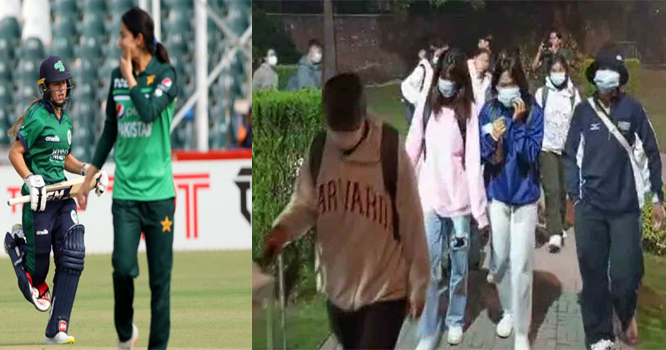 Cricket