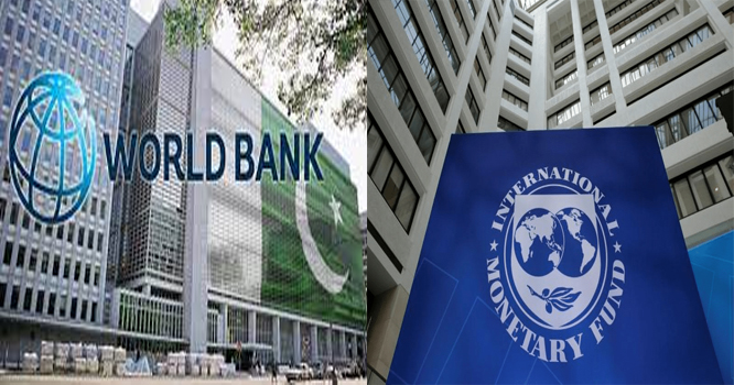 Imf