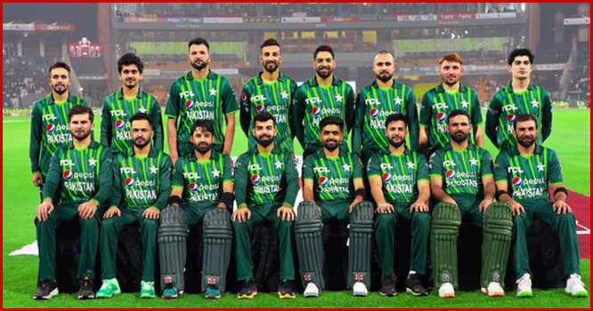 cricket-contract cricket-contract