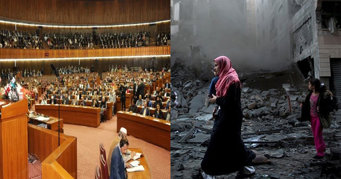 Senat
