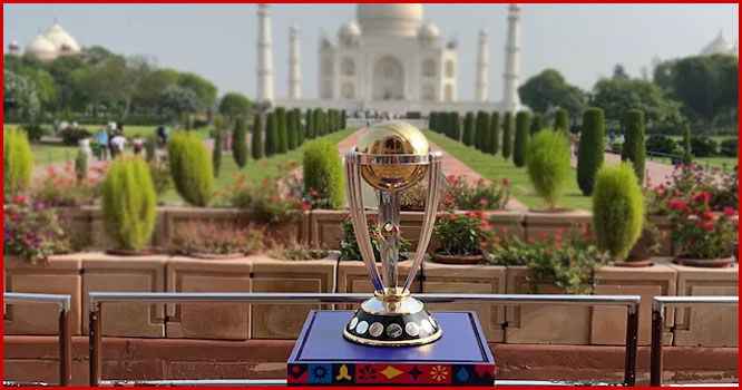 cricket