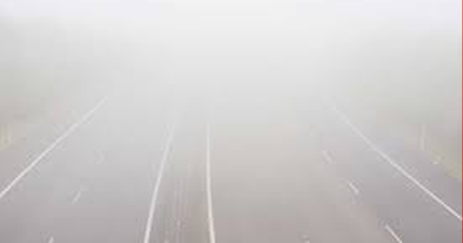 FOG11