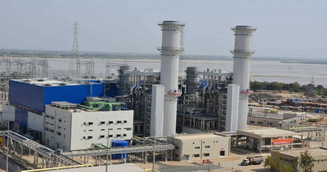 Gudu powar plant