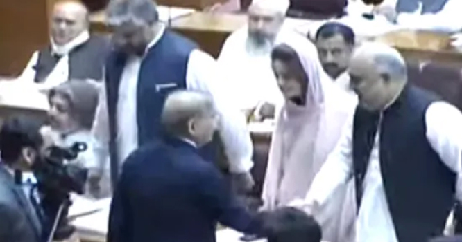 pti