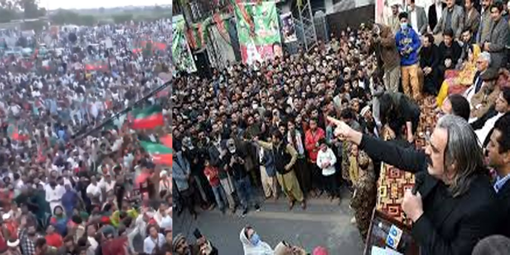 Ali Amneen gandapur