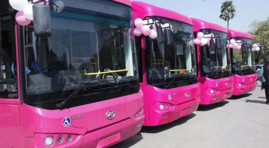 pink-bus