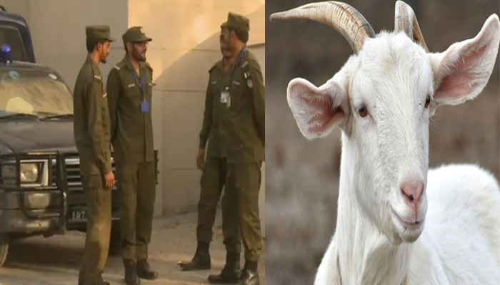 Punjab Police