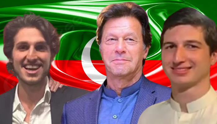 imran-khan-qasim-salman