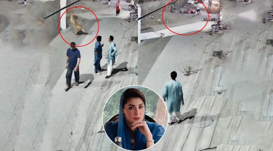 maryam-nawaz