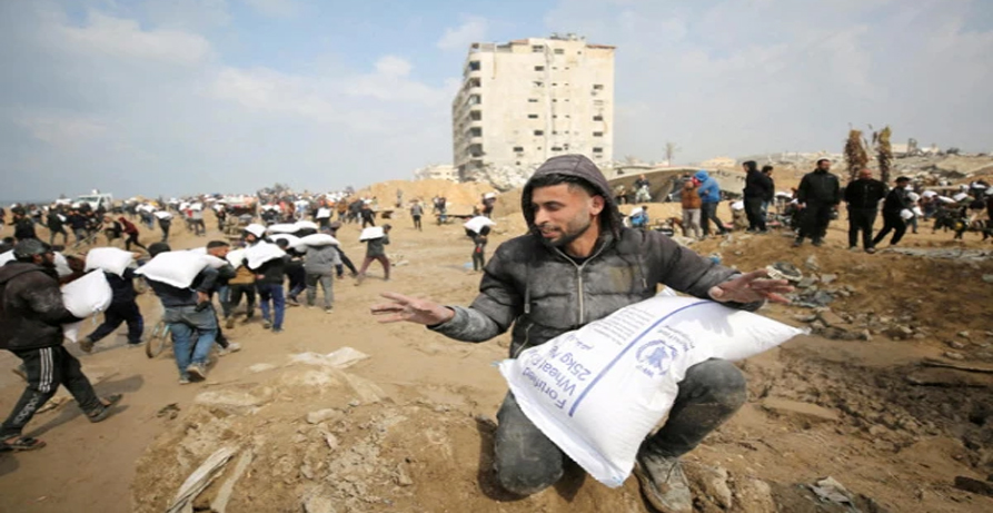 gaza