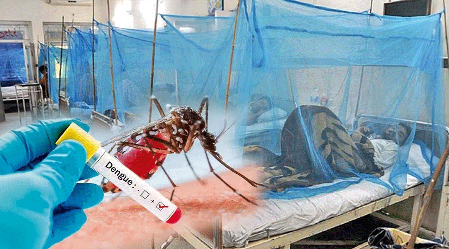 dengue