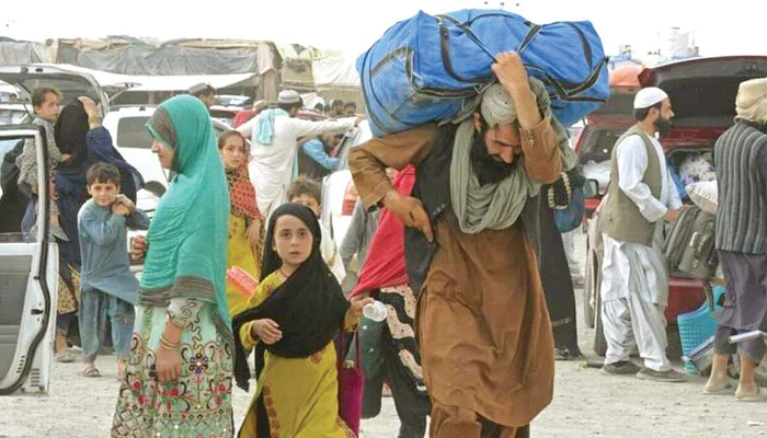 afghan