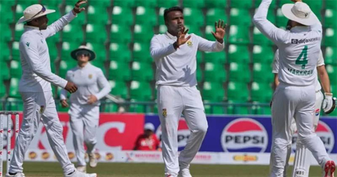 cricket cricket