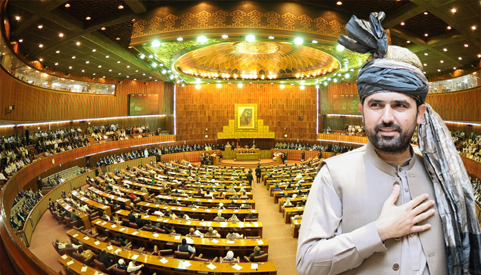 sohail-afradi-parliment