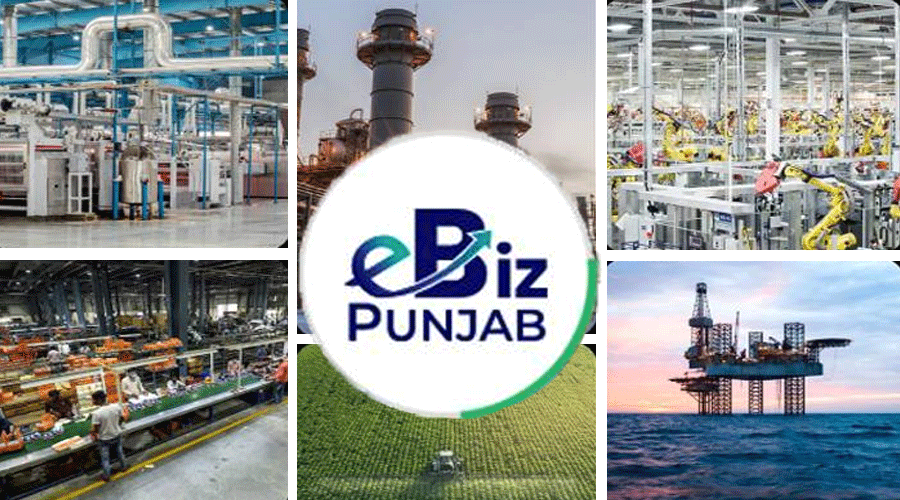 ebiz-punjab