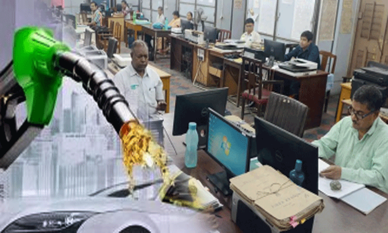 petrol-government-jobs