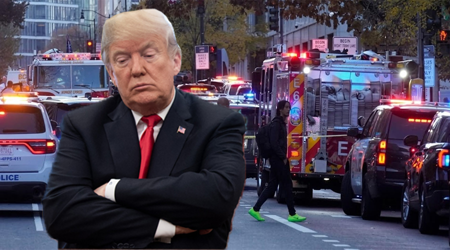trump sed